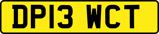 DP13WCT