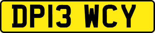DP13WCY
