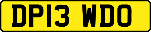 DP13WDO