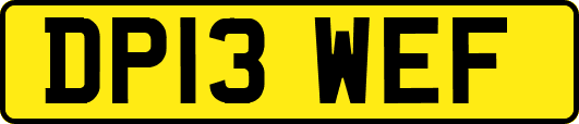 DP13WEF