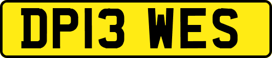 DP13WES