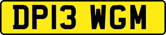 DP13WGM