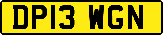 DP13WGN