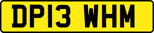 DP13WHM