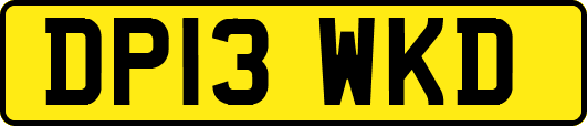 DP13WKD
