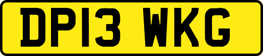 DP13WKG