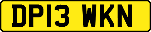 DP13WKN