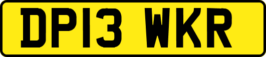 DP13WKR