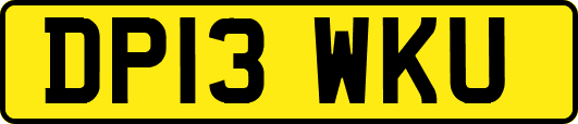 DP13WKU