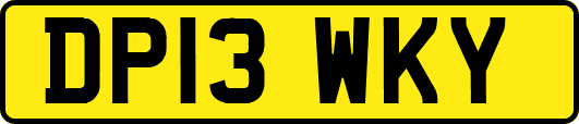 DP13WKY