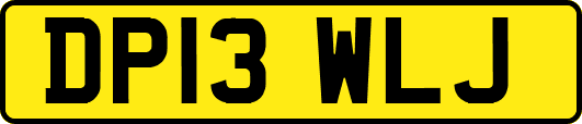 DP13WLJ