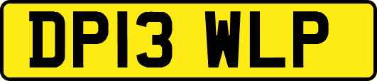 DP13WLP