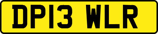 DP13WLR
