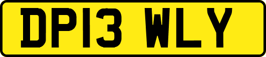 DP13WLY