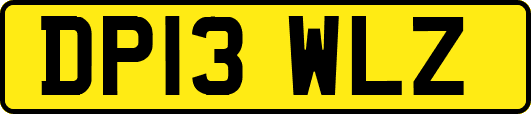 DP13WLZ