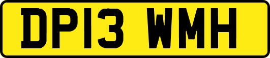 DP13WMH