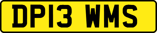 DP13WMS