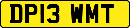 DP13WMT