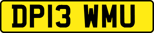 DP13WMU