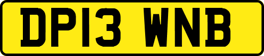 DP13WNB