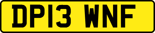 DP13WNF