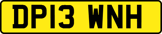 DP13WNH
