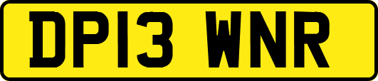 DP13WNR