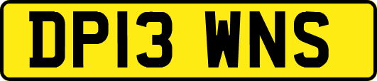 DP13WNS