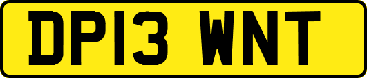 DP13WNT