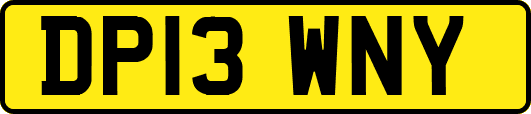 DP13WNY