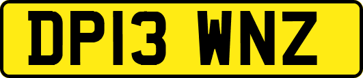 DP13WNZ