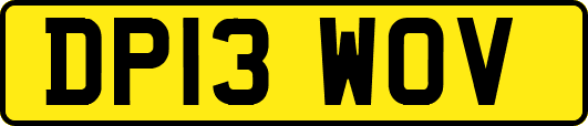 DP13WOV