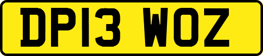 DP13WOZ