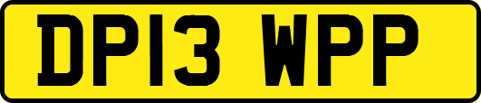 DP13WPP