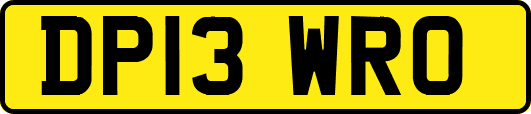 DP13WRO