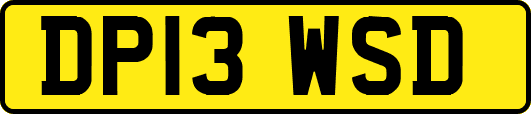 DP13WSD