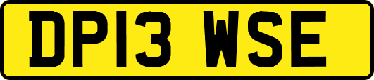 DP13WSE