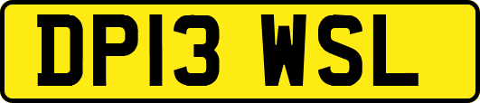 DP13WSL
