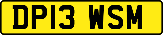 DP13WSM