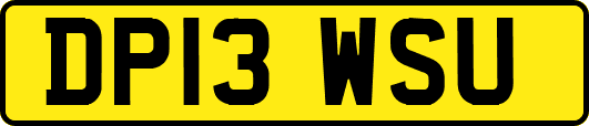 DP13WSU