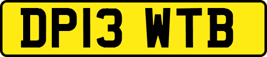 DP13WTB