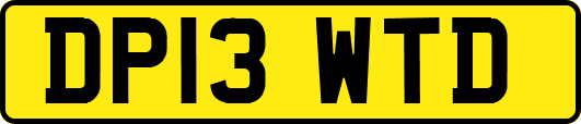 DP13WTD