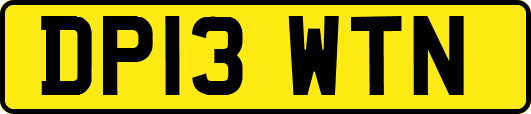 DP13WTN
