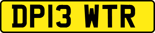 DP13WTR
