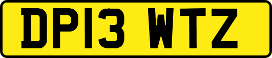 DP13WTZ