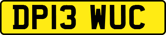 DP13WUC
