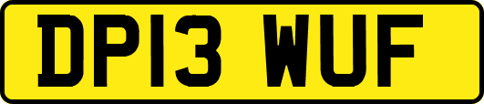 DP13WUF