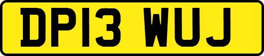 DP13WUJ