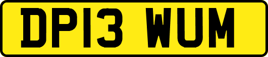 DP13WUM