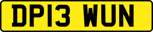 DP13WUN